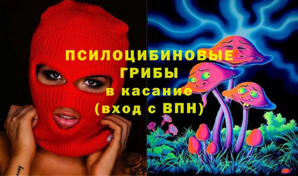 mix Белокуриха
